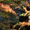 散ったら緑の岩が受け止める