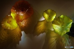 壁に咲く　（デイル・チフーリ作品）