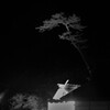 見守られていること