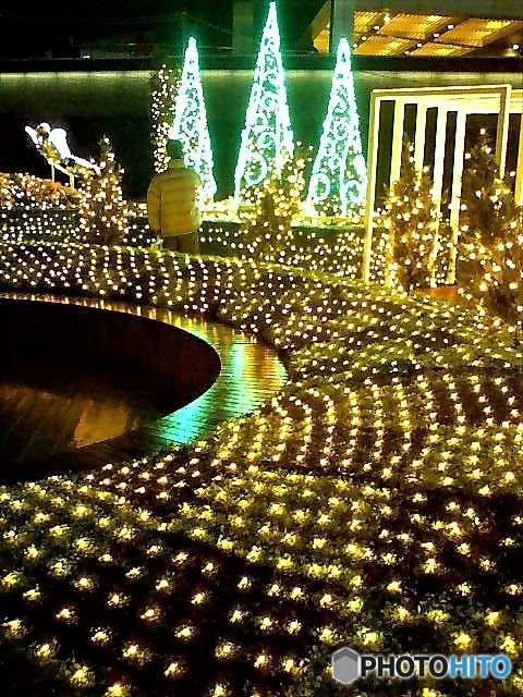 光の花園（遠景は蝶）（2007年クリスマスの名古屋駅　２）