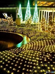 光の花園（遠景は蝶）（2007年クリスマスの名古屋駅　２）