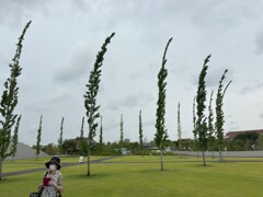 強い風