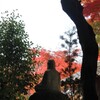 紅葉は離れて眺めるだけ