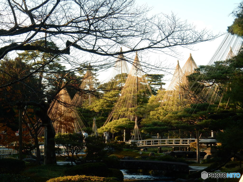 冬支度　（2015年12月の兼六園　その１）