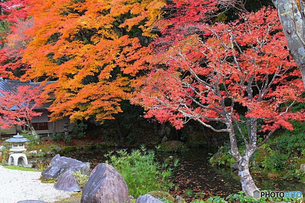 池が飲み込まれそう　（南禅寺　方丈にて　４）