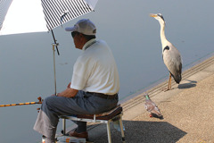 おじさん　釣れないね・・