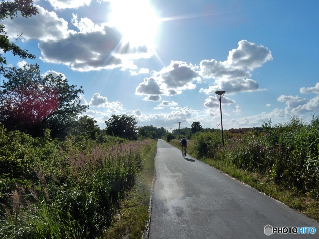 野原を貫く自転車道路　（コペンハーゲン郊外）