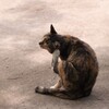 あるがままには難しい？