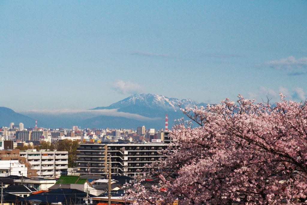 伊吹山にお願い