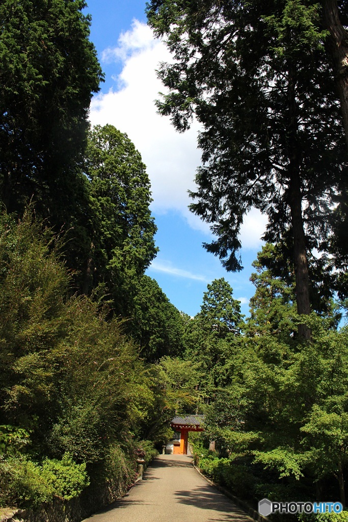 三室戸寺への道　（三室戸寺　１）