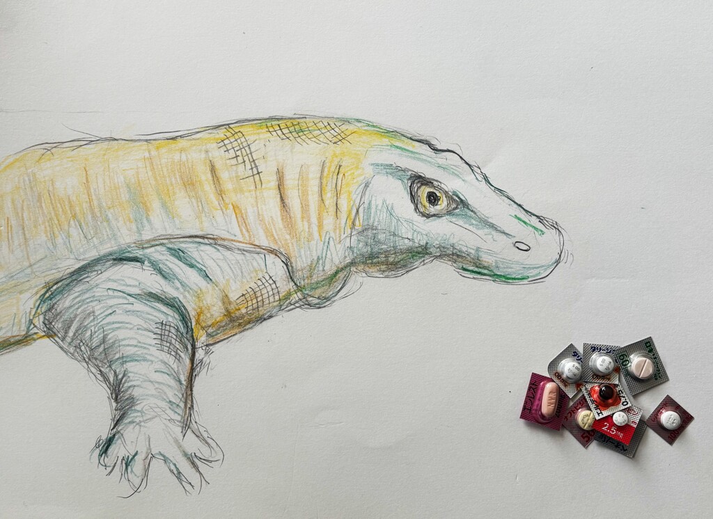 こんなのは餌じゃない