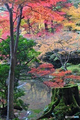 （南禅寺南禅院にて　３）