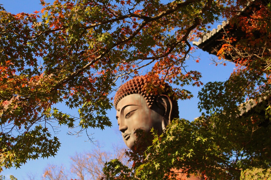 平成大仏さん