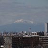 名古屋の北西の守り（伊吹山）