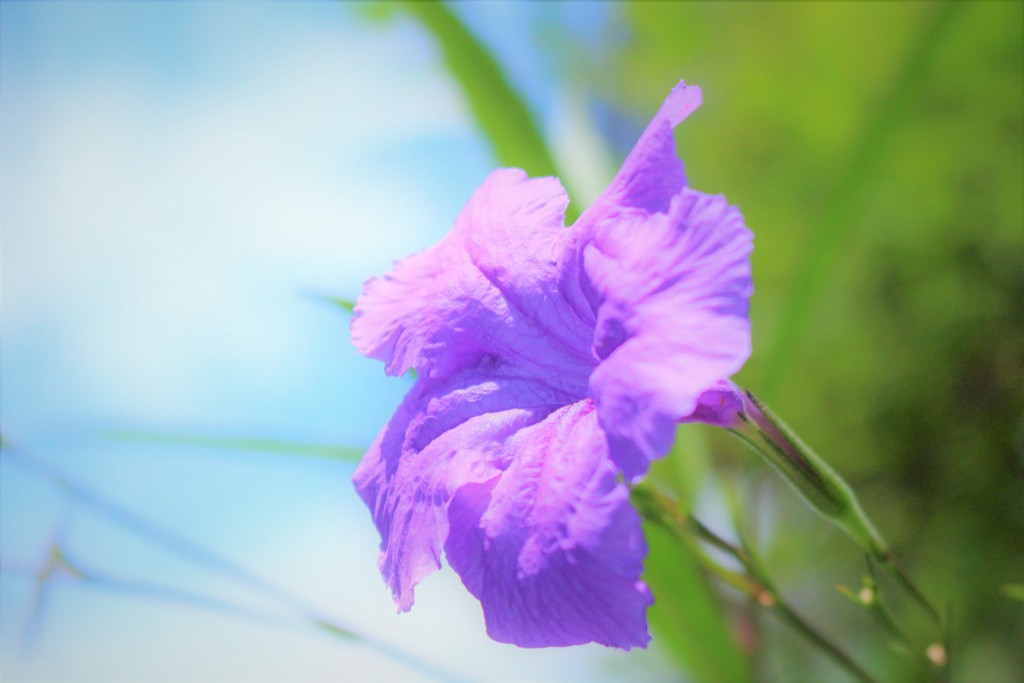 時に情熱的、時に冷静