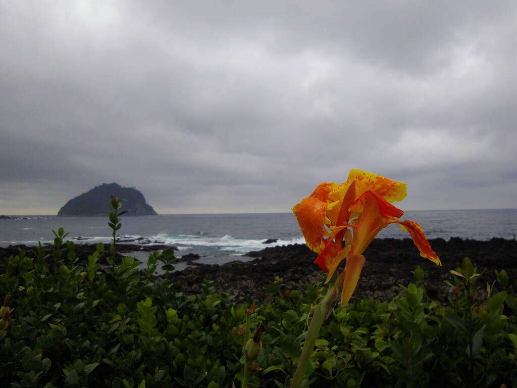 対馬海峡波高し