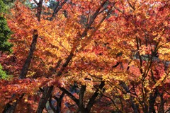 朱色の空気　（南禅寺　三門近辺　１）