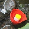 （参考）　心注ぎ込むもの