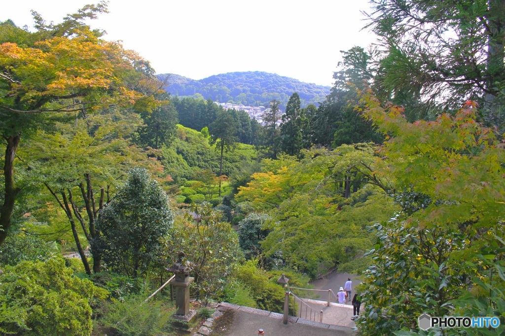 宇治に忍び寄る秋　(三室戸寺　８）