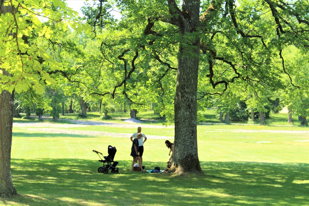 贅沢な夏の一時