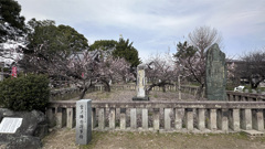 宮ノ陣神社の将軍梅