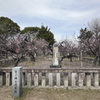 宮ノ陣神社の将軍梅
