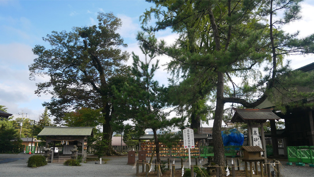 阿蘇神社＠2023 (29)