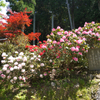 長安寺・石楠花と歌碑