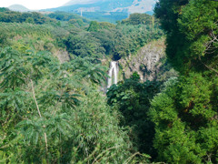 数鹿流崩之碑展望所 (16) 白糸の滝