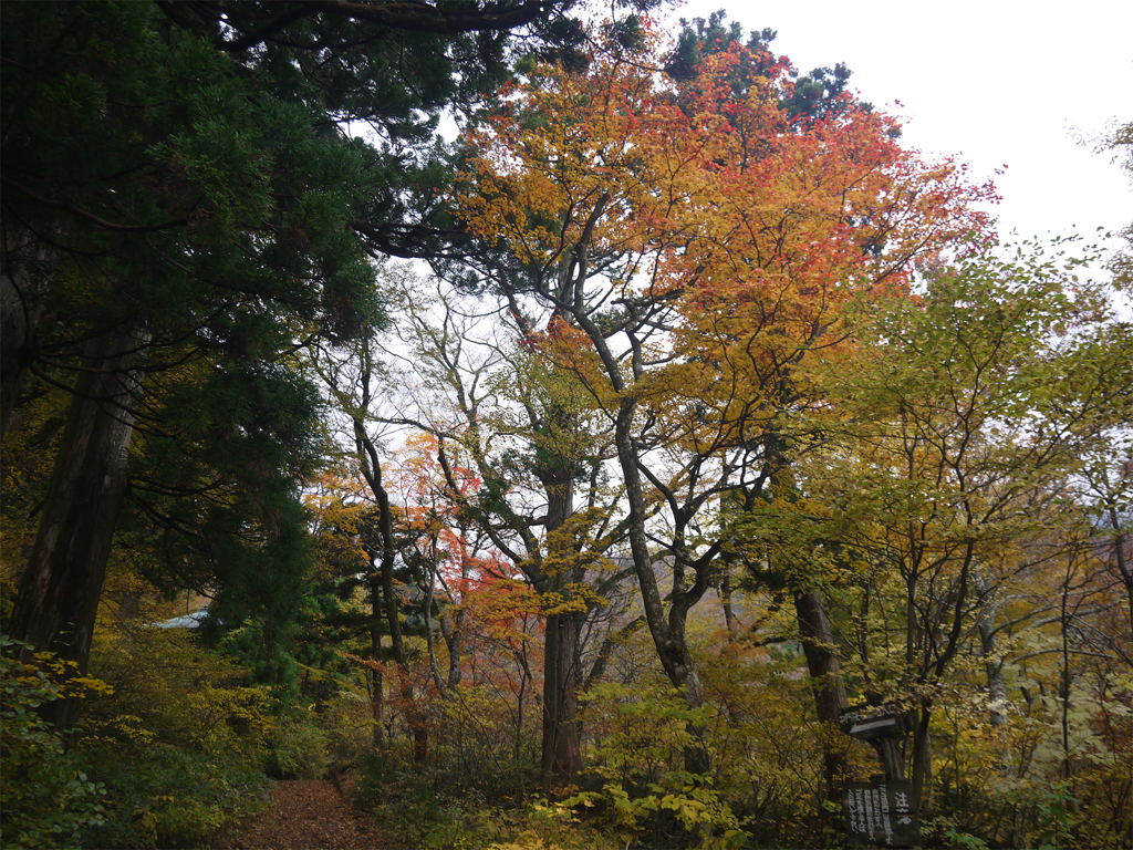 大山寺⑥