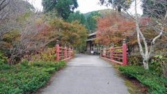 呑山観音寺 (2)