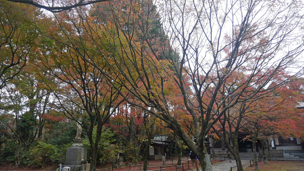 呑山観音寺 (15) 天王院