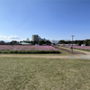 キリン花園のコスモス＠2023 (10)