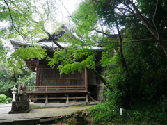 須賀神社 (14)