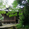 須賀神社 (14)