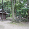 西寒多神社＠2018 (15)