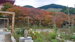 呑山観音寺 (33) 瑜祇大宝塔