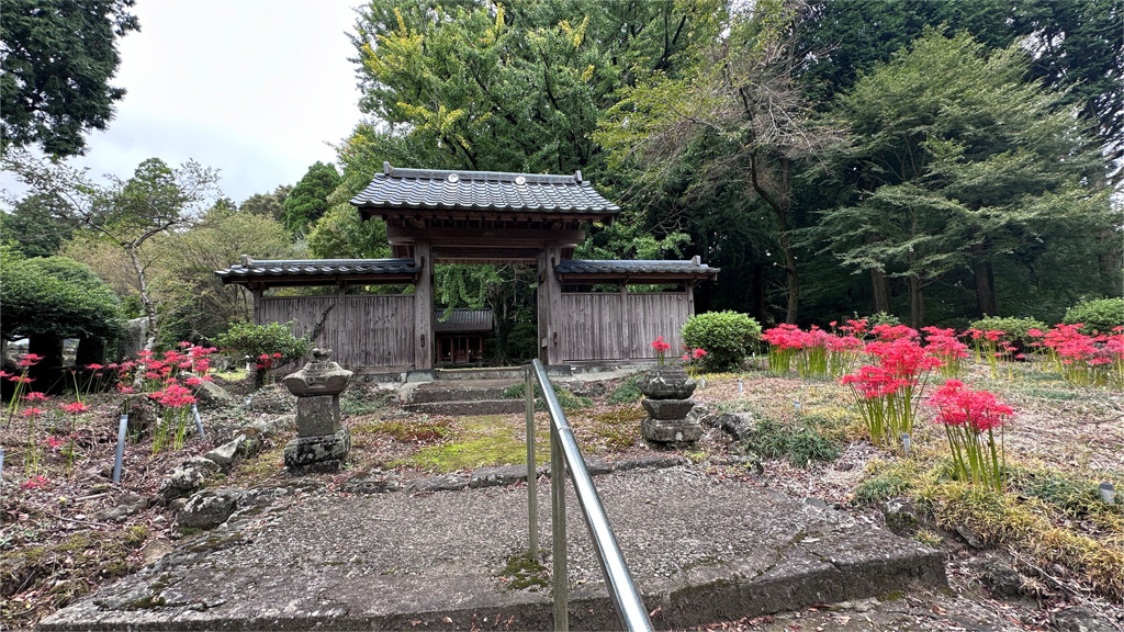 西巌殿寺 (18)