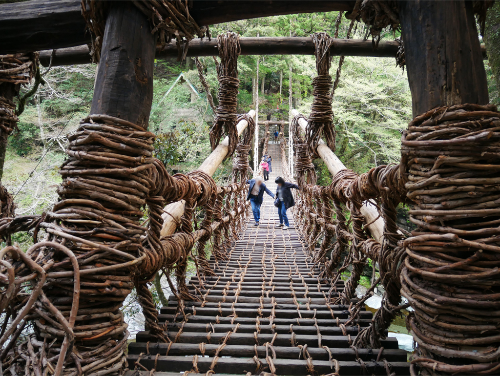 祖谷のかずら橋 (9)