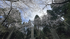 秋月城跡 慰霊塔