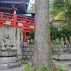 呑山観音寺 (101)