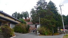 呑山観音寺 (64)