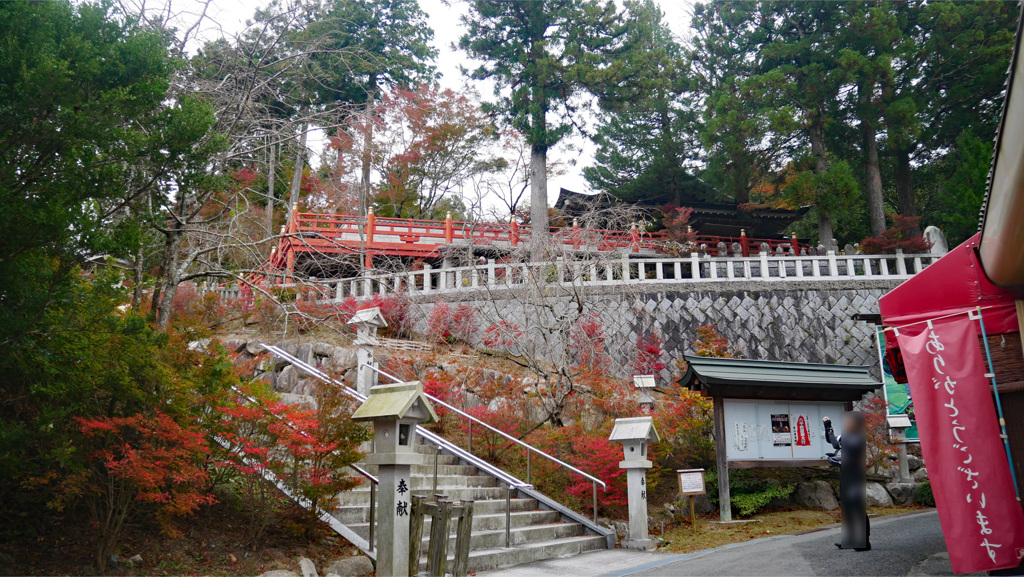 呑山観音寺 (66)