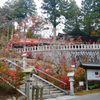 呑山観音寺 (66)