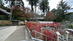 呑山観音寺 (81)