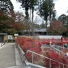 呑山観音寺 (81)