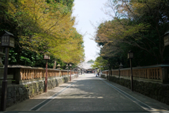 健軍神社 (8)