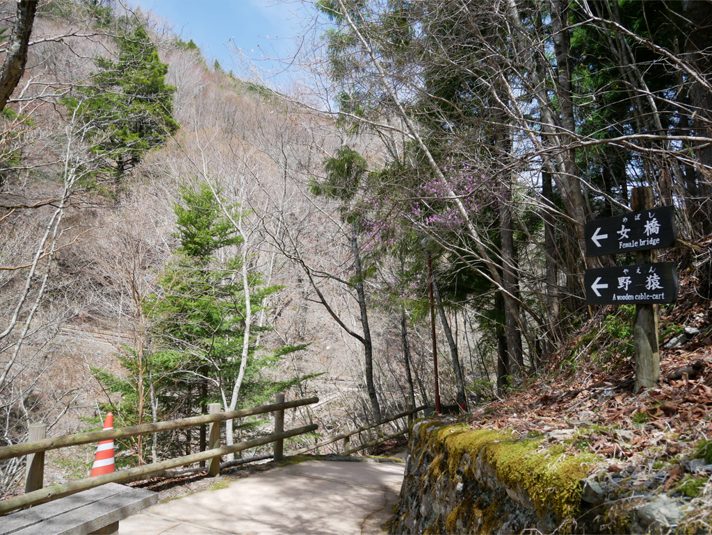 奥祖谷二重かずら橋 (10)