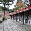 呑山観音寺 (103)