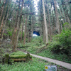 上色見熊野座神社 (28)